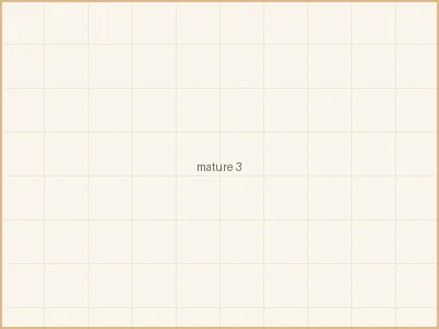 人妻猎人 - 一个人的咖啡时光 - 享受独处的美好